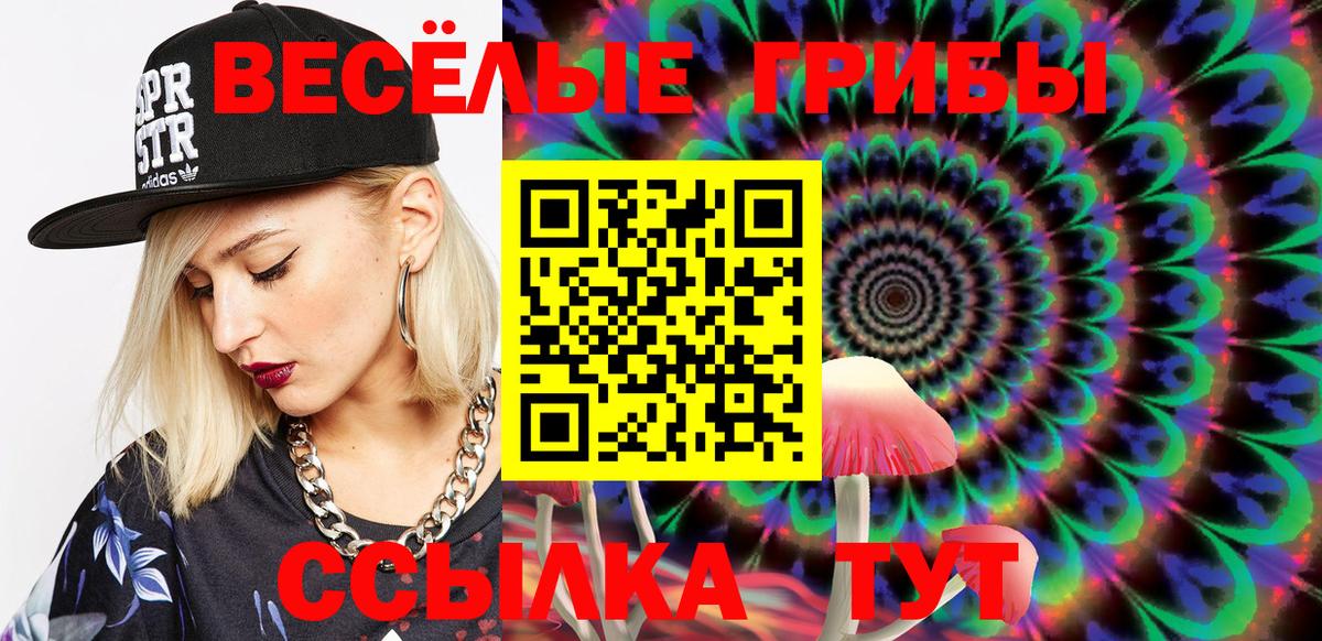 Псилоцибиновые грибы Psilocybine cubensis Химки
